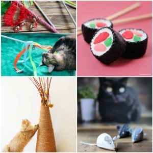 25 DIY Cat Toys That Anyone Can Make