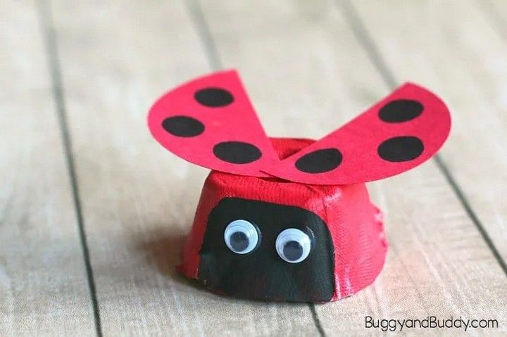 Cute Little Ladybug