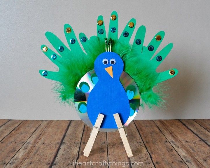 Recycled Peacock Craft
