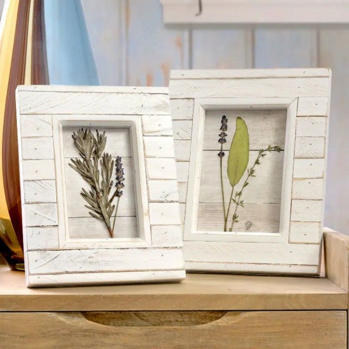 DIY Pressed Flowers with Mod Podge