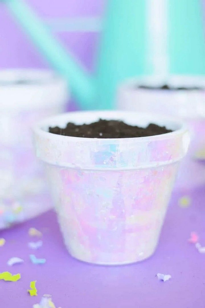 Iridescent Plant Pots for a Party
