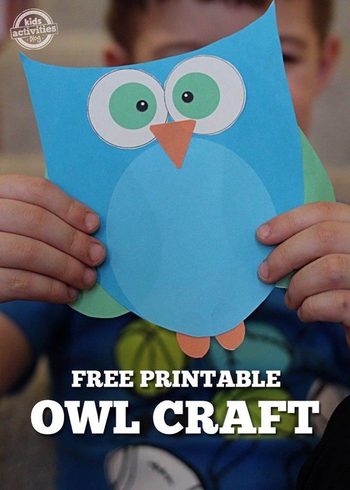 Preschool Printable Owl Template
