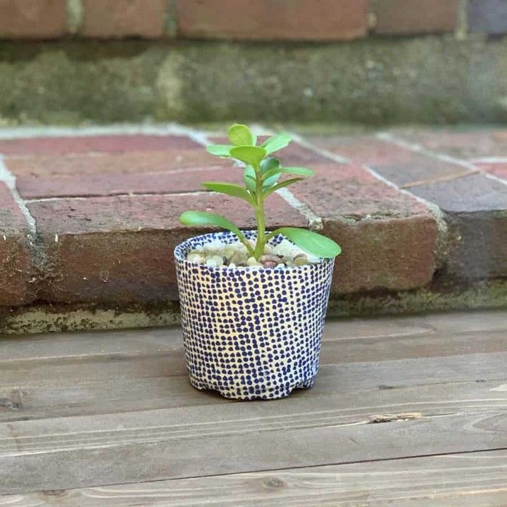 Transform a Plastic Plant Pot