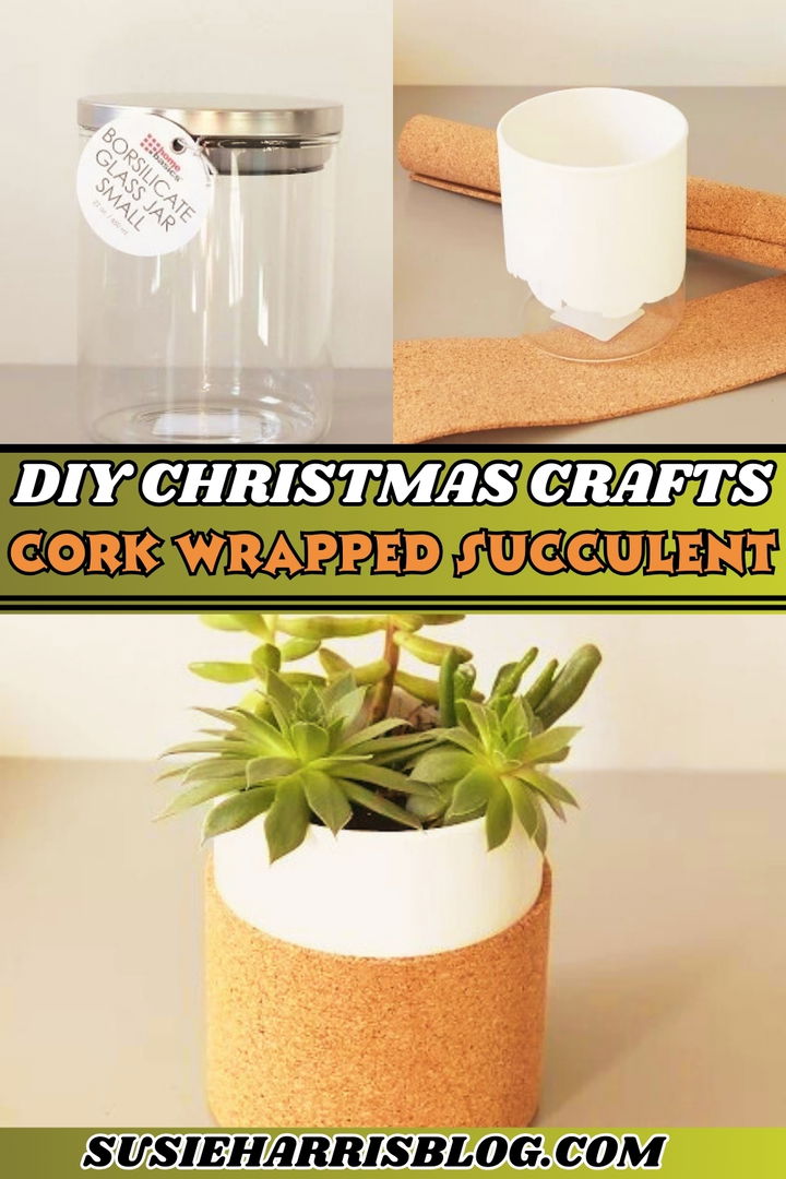 Cork Wrapped Succulent