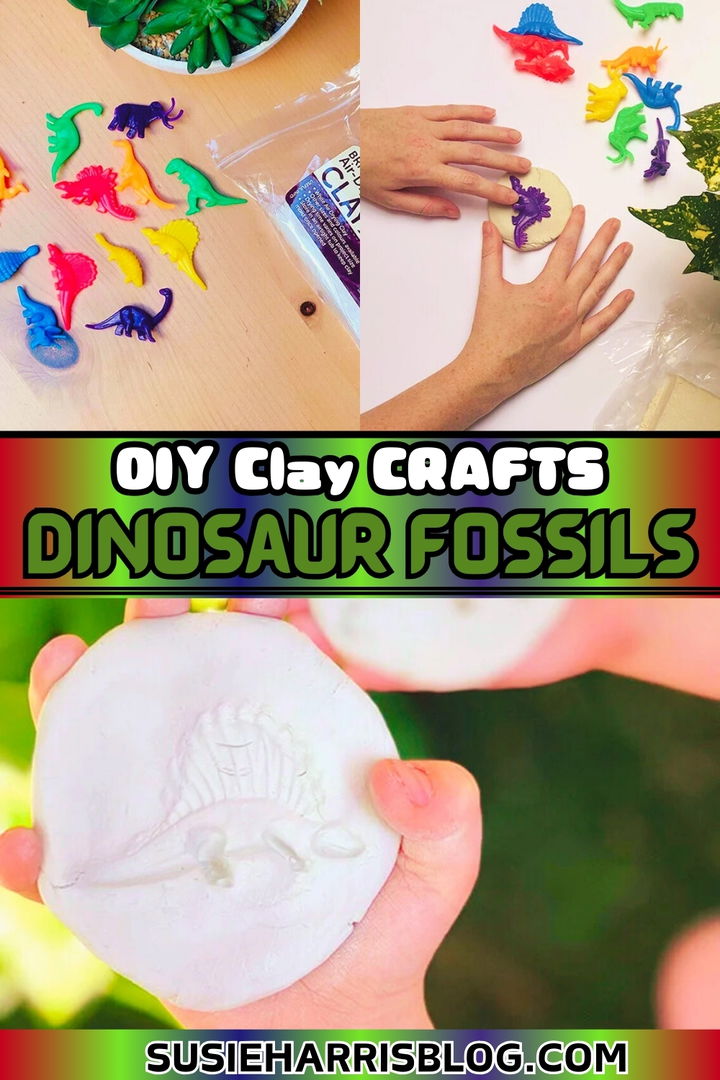 Dinosaur Fossils