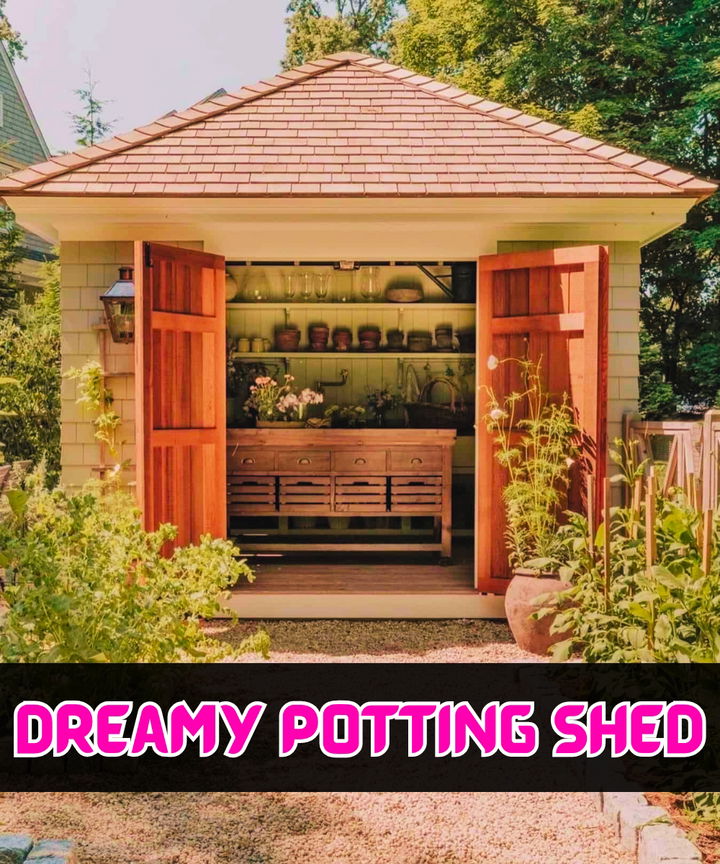 Dreamy Potting Shed