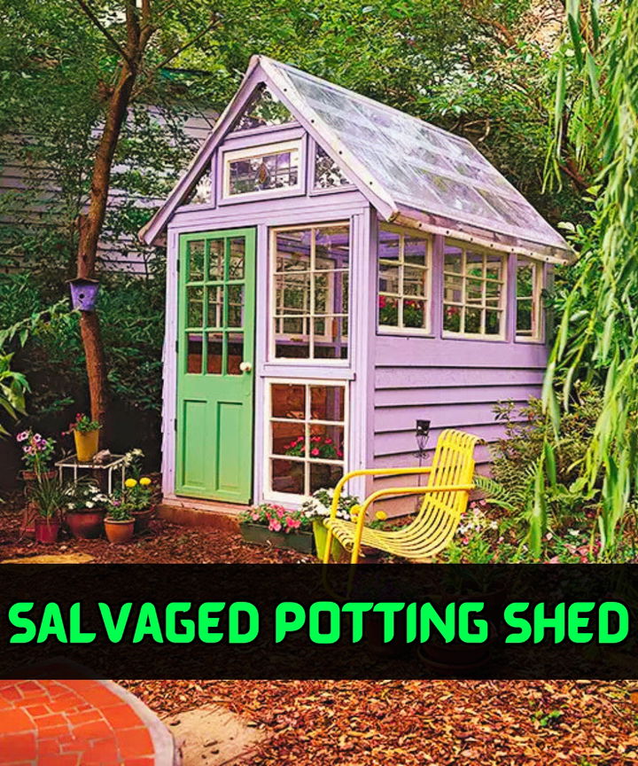 Salvaged Potting Shed