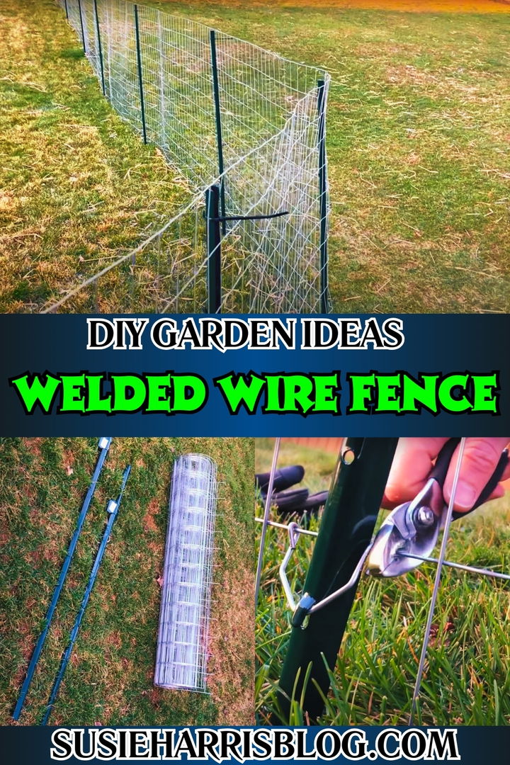 Welded Wire Fence