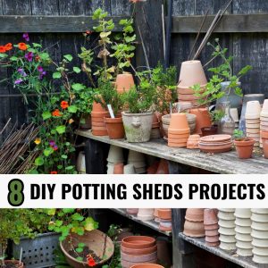 8 DIY Potting Sheds Projects