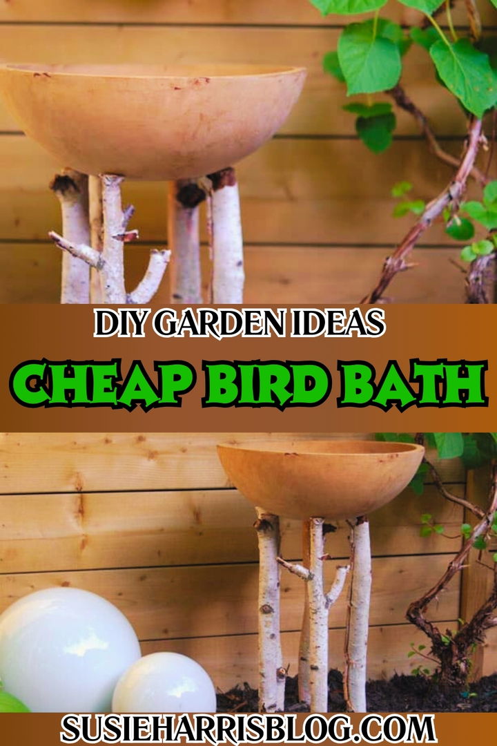 Cheap Bird Bath