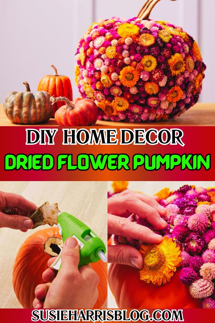 Dried Flower Pumpkin