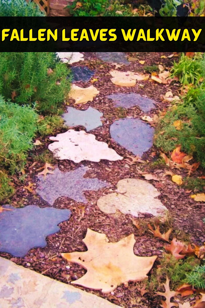 Fallen Leaves Walkway