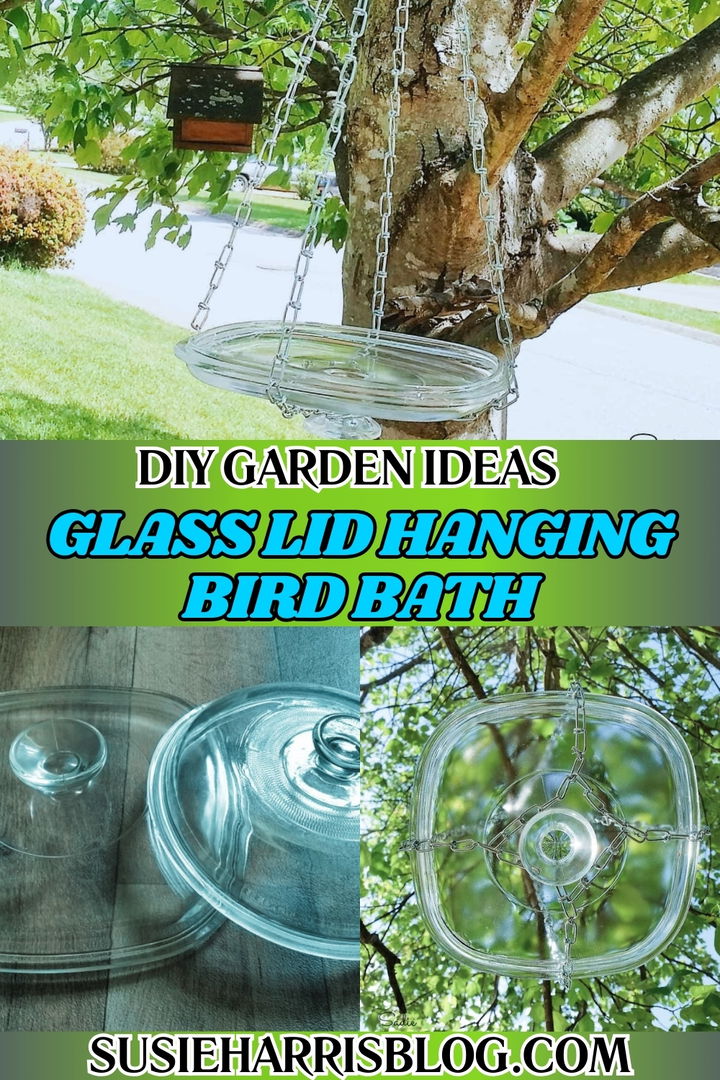 Glass Lid Hanging Bird Bath