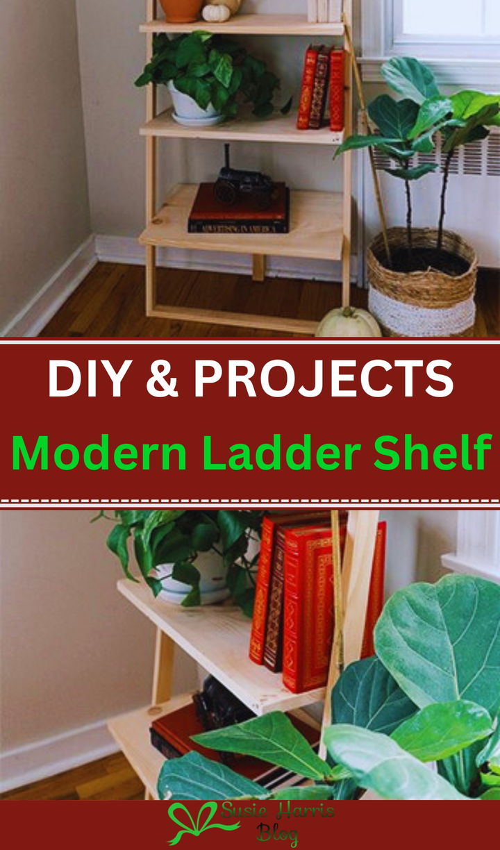 Modern Ladder Shelf