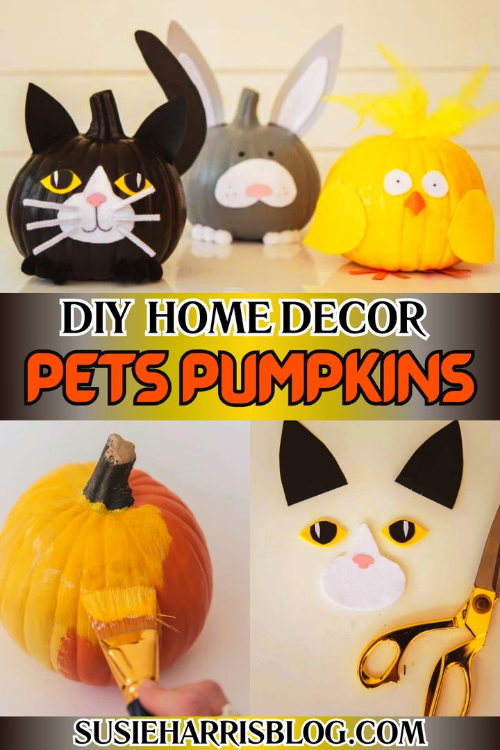 Pets Pumpkins