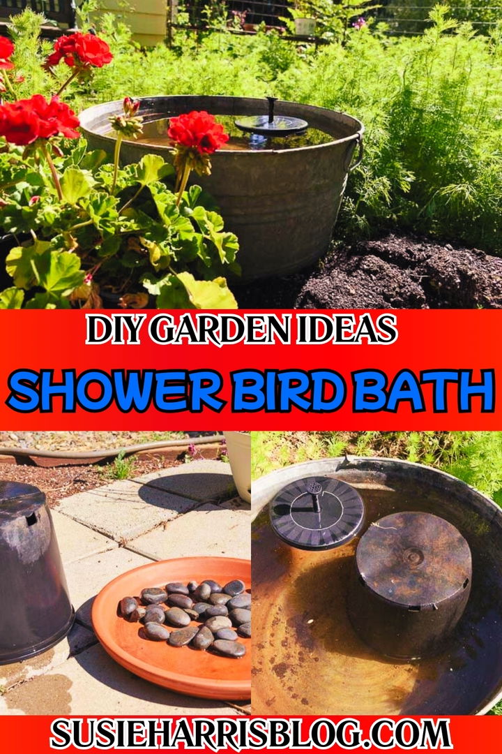 Shower Bird Bath