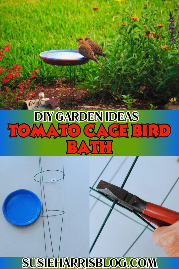 Tomato Cage Bird Bath