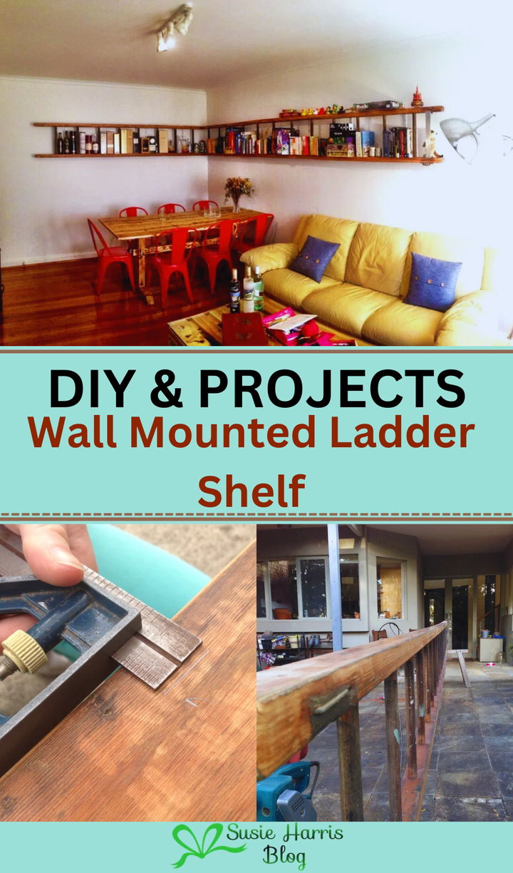 Wall Mounted Ladder Shelf