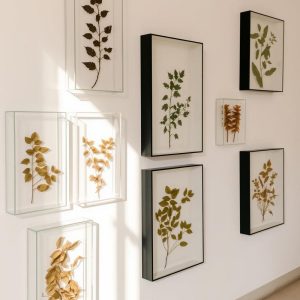 Pressed Botanical Frames